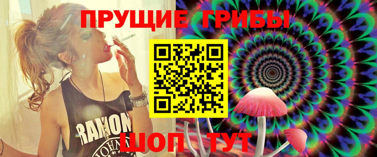 Ачинск  Галлюциногенные грибы Magic Shrooms  Вход с VPN  Галлюциногенные грибы Cubensis 